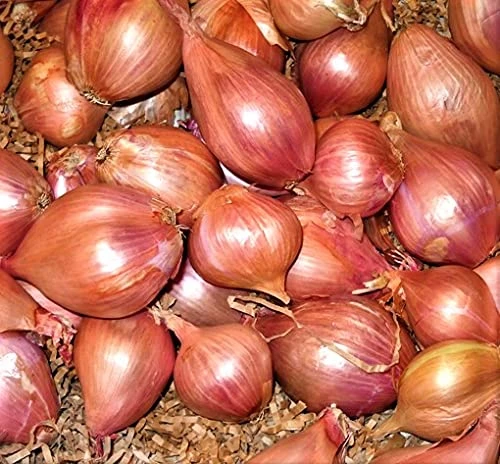 Golden Hills Farm
