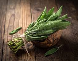 Sage