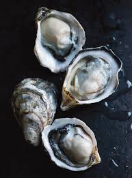 Oysters