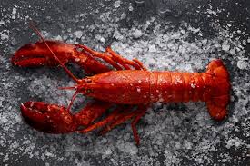Lobster