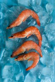 Shrimp