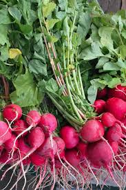 Radishes