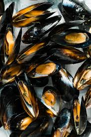 Mussels
