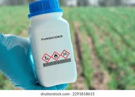 Fungicides