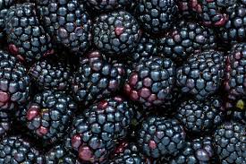 Blackberries
