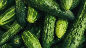Cucumbers