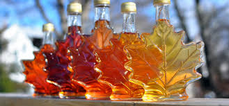 Maple Syrup