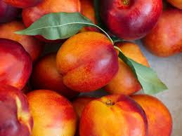 Nectarines