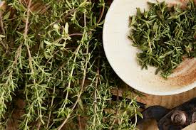 Thyme
