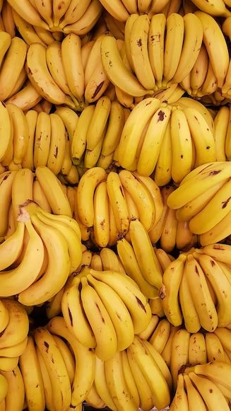 Organic Valley Organic Organic Fresh Bananas - Medium (500g)