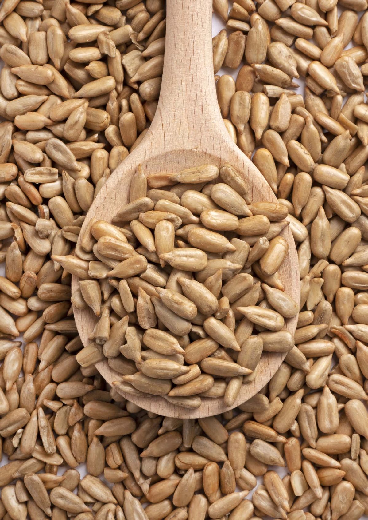 Premium Seeds Organic Premium Fresh Raw Sunflower Seeds - Medium (500g)