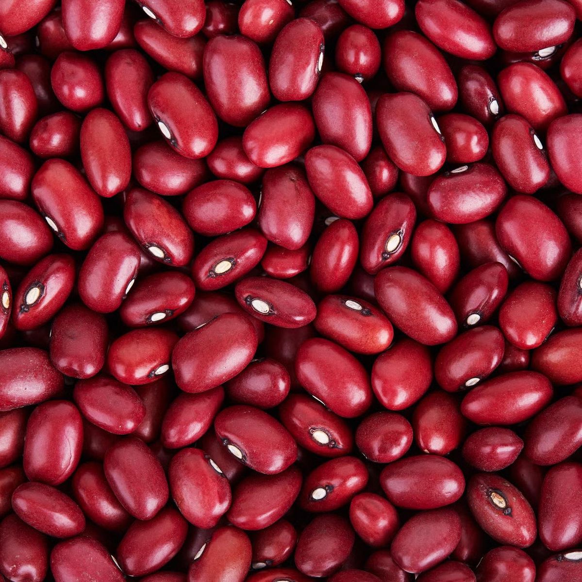 Harvest Direct Organic Premium Organic Red Kidney Beans - Large (1kg)