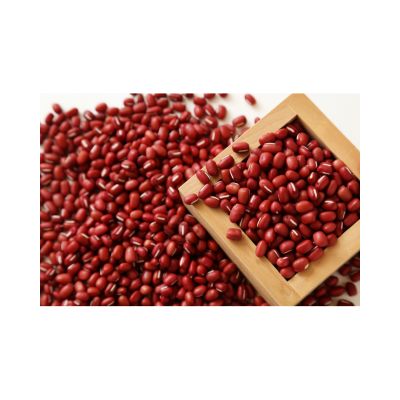 Dry Easy To Cook Nambale Beans_5kgs