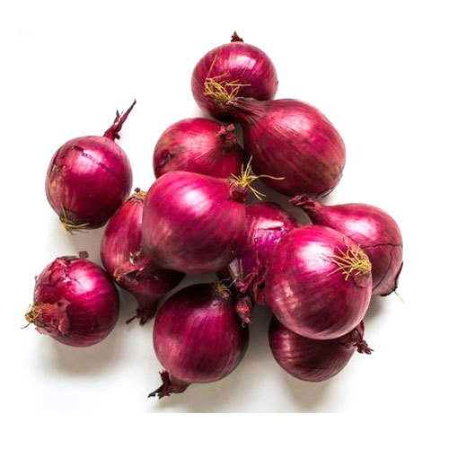 Fresh Direct Commercial Grade Organic Red Onions - Medium (1kg) - Box