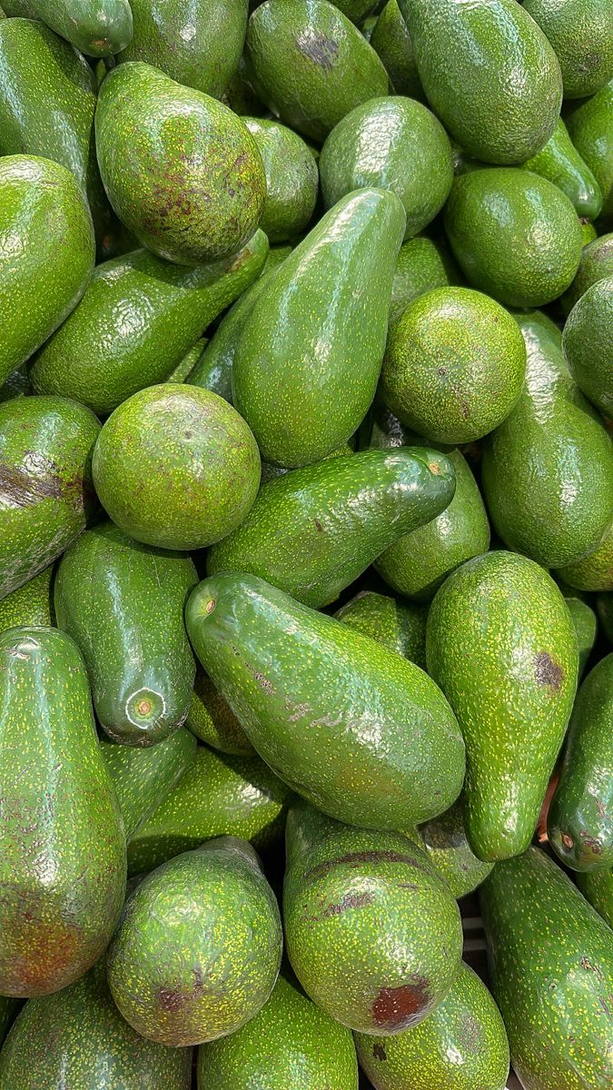 Green Harvest Grade A Premium Organic Avocado - Small (500g) - Bulk
