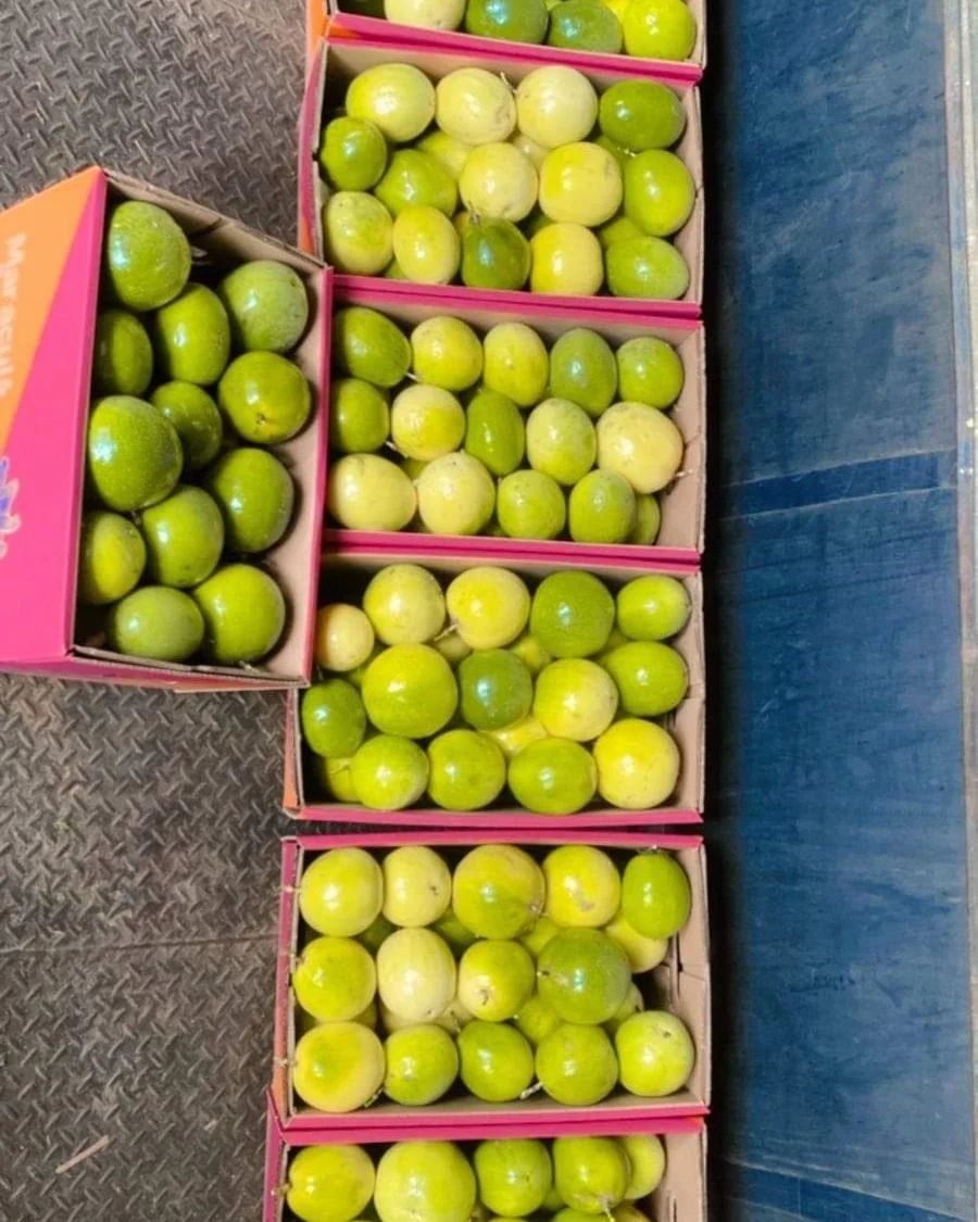 Organic Valley Organic Premium Organic Fresh Passion Fruits - Medium (500g)