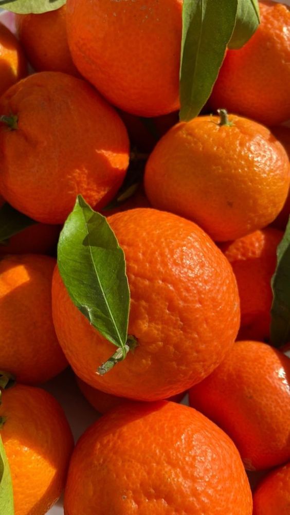 Harvest Direct Organic Dried Fresh Oranges - Large (1kg)