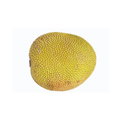 Harvest Direct Organic Premium Organic Fresh Jackfruit - Extra Large (2kg)