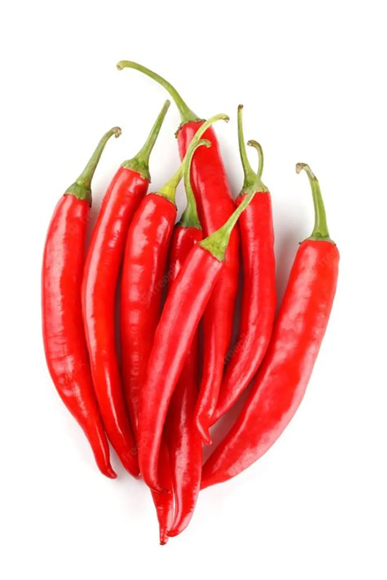 SpiceFarm Commercial Grade Fresh Red Chillies - Medium (500g) - Pack