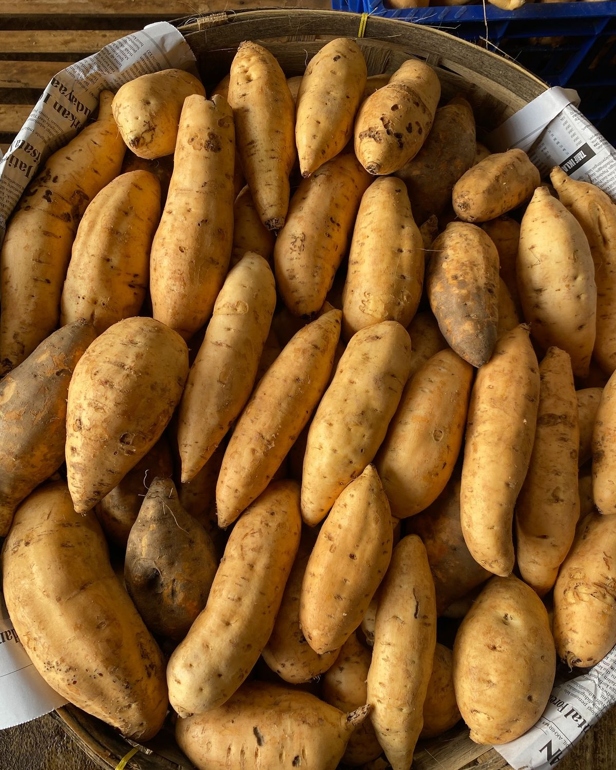 Harvest Direct Organic Fresh Fresh Sweet Potatoes - Extra Large (2kg)