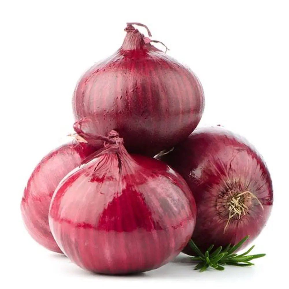 Organic Farm Grade B Fresh Red Onions - Large (2kg) - Box