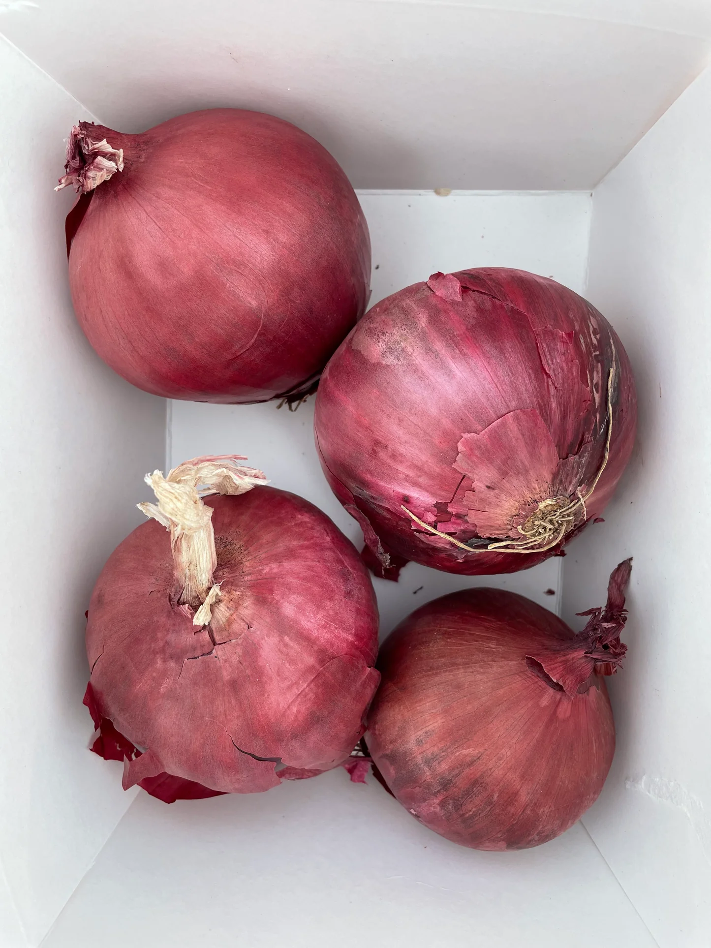 Farm Direct Commercial Grade Ripe Red Onions - Small (500g) - Loose