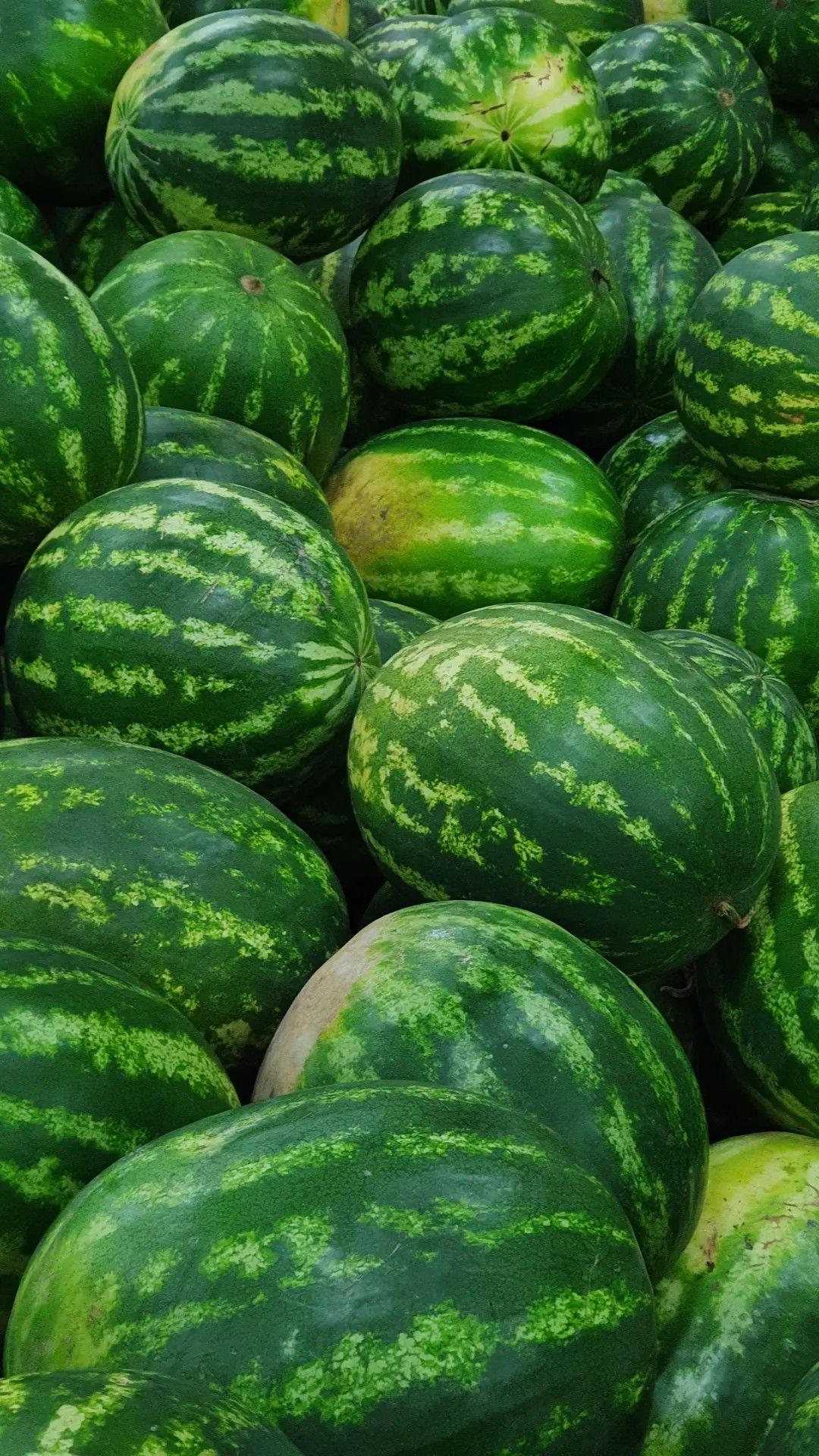 Organic Valley Grade A Premium Fresh Fresh Watermelon - Large (1kg)