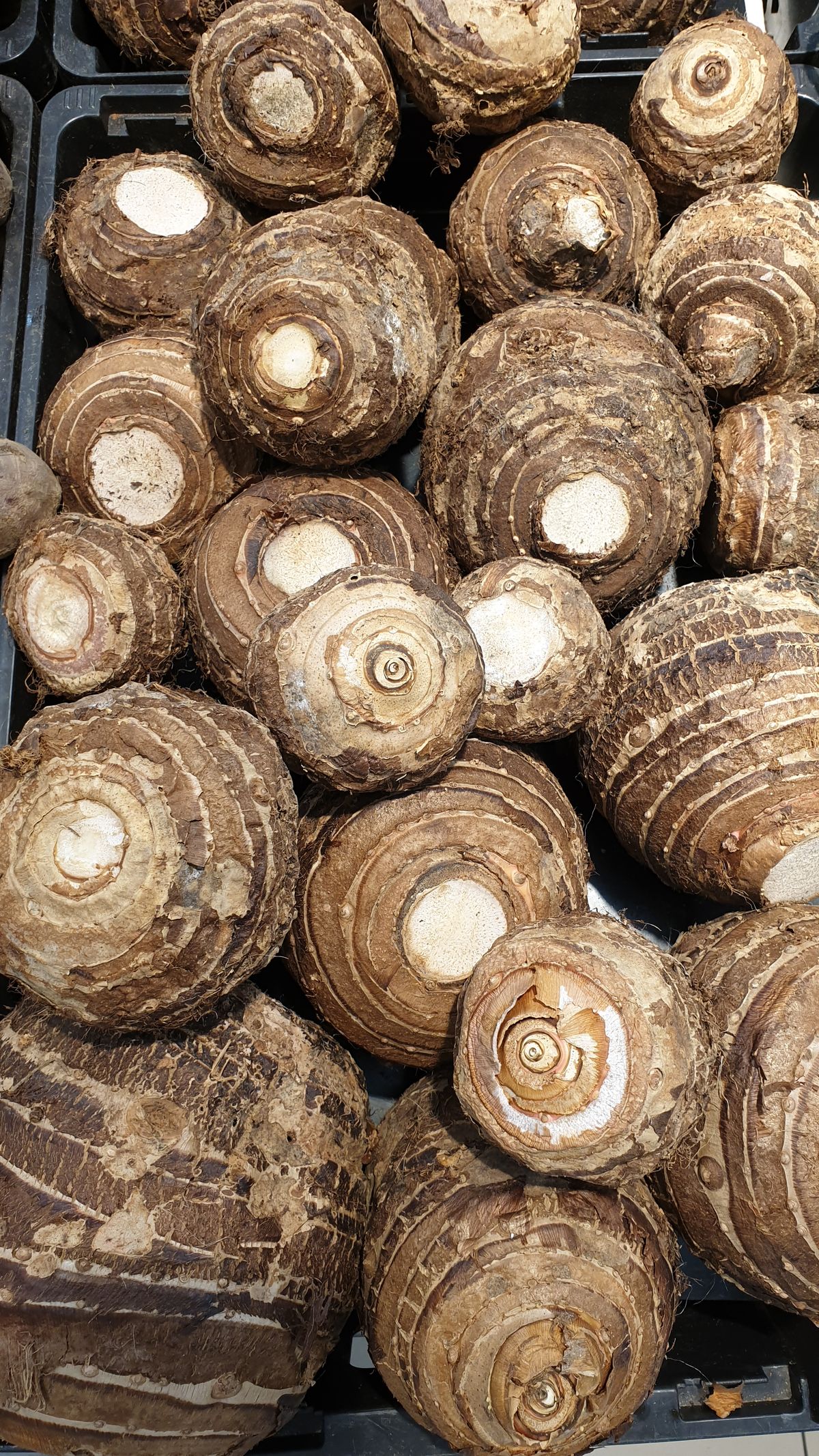 Premium Produce Grade B Dried Fresh Yams - Large (1kg)