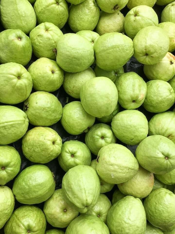 Farm Fresh Grade A Farm Fresh Fresh Guava - Extra Large (2kg)