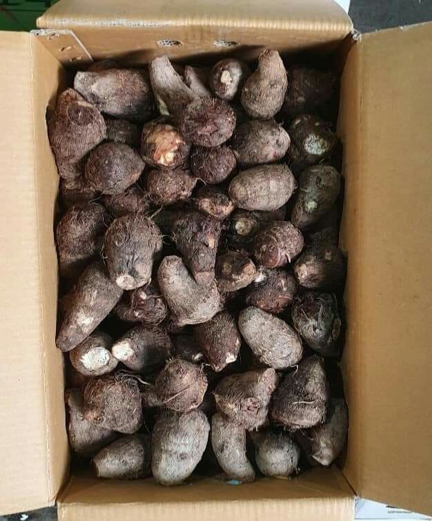 FarmMaster Grade A Premium Fresh Fresh Yams - Medium (500g)