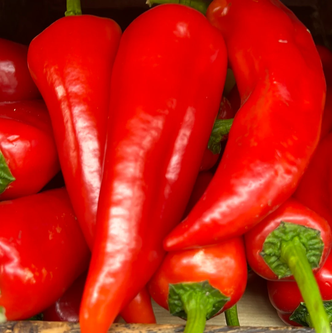 Premium Spice Organic Premium Fresh Red Chillies - Extra Large (2kg) - Bundle