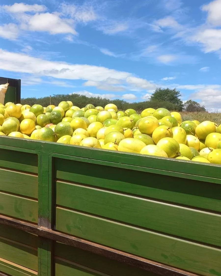 Organic Valley Grade A Premium Premium Fresh Passion Fruits - Small (250g)