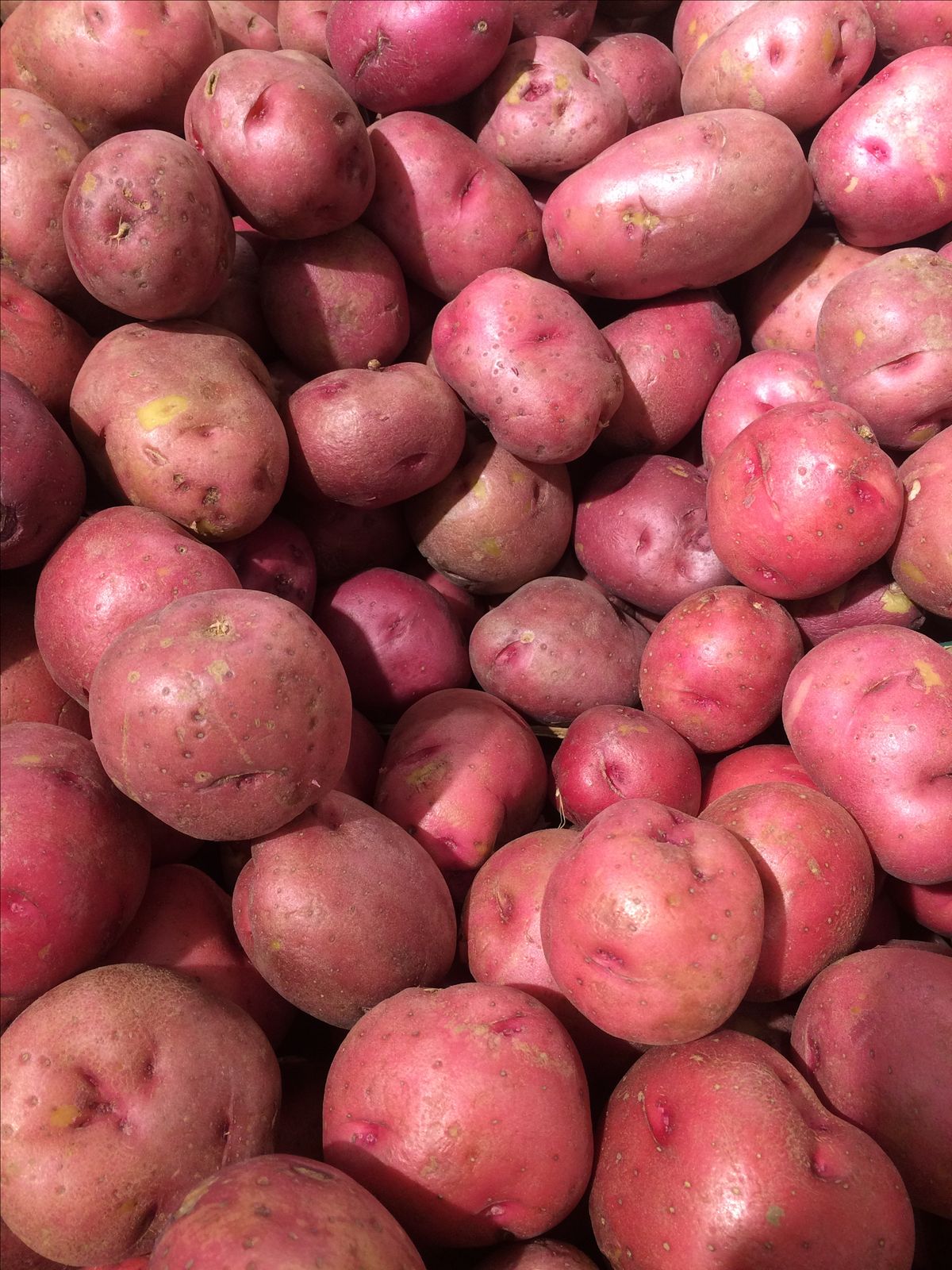 Organic Valley Grade A Premium Premium Fresh Irish Potatoes - Medium (500g)