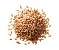 Grains Organic Organic Hard Red Wheat - Large (5kg) - Box