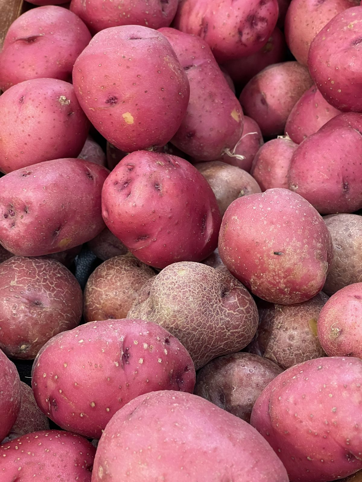 Organic Valley Grade B Dried Fresh Irish Potatoes - Medium (500g)