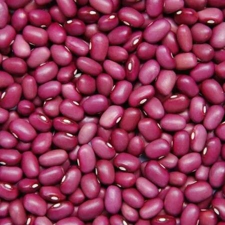 Organic Valley Grade B Fresh Red Kidney Beans - Extra Large (2kg)