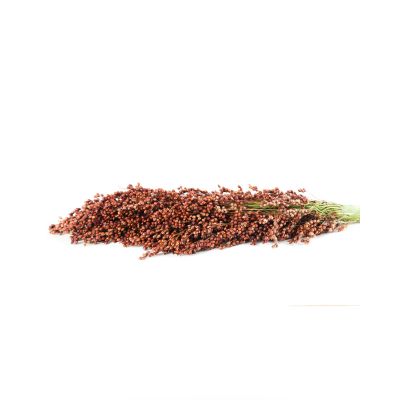 Premium Produce Organic Premium Dried Whole Sorghum - Extra Large (2kg)