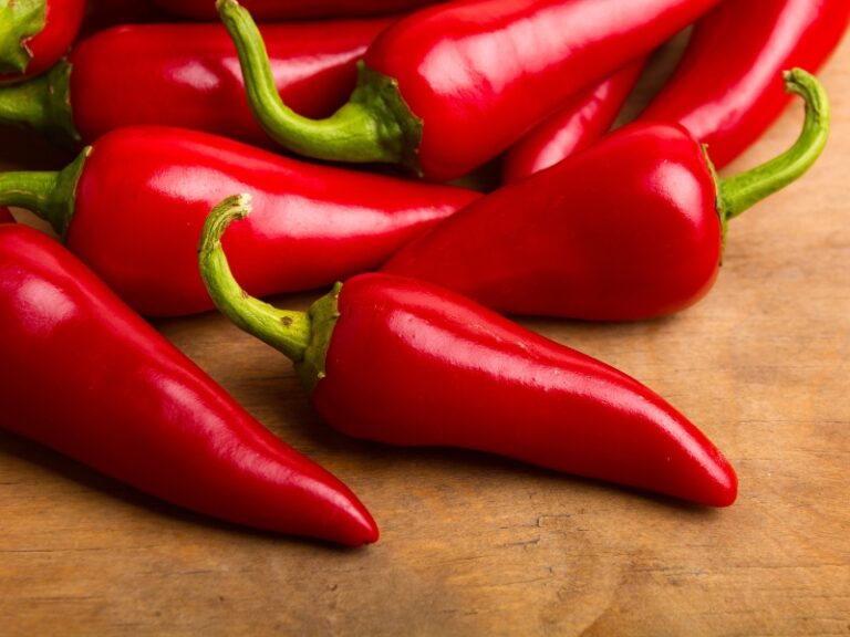 SpiceFarm Grade A Premium Premium Fresh Jalapeño Peppers - Small (250g) - Bulk