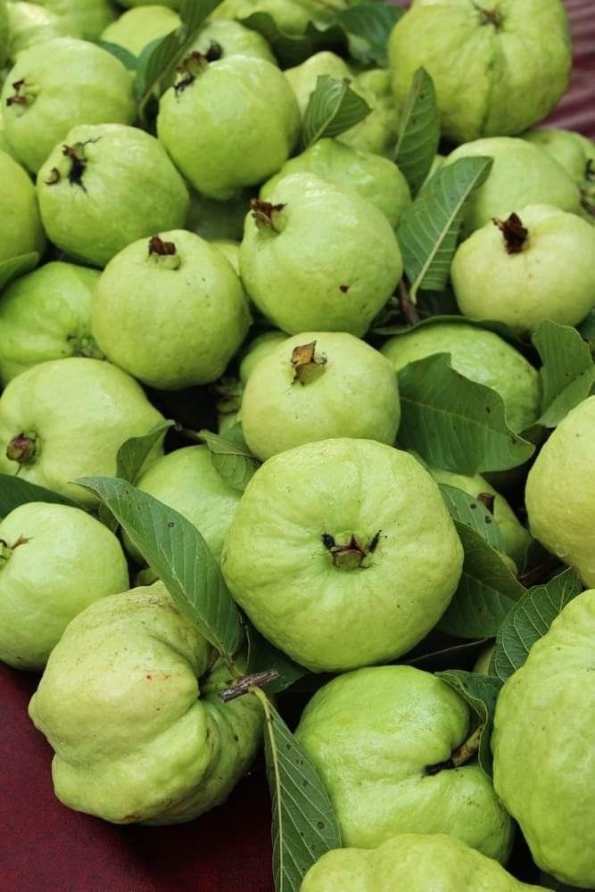 Premium Produce Organic Premium Organic Fresh Guava - Small (250g)