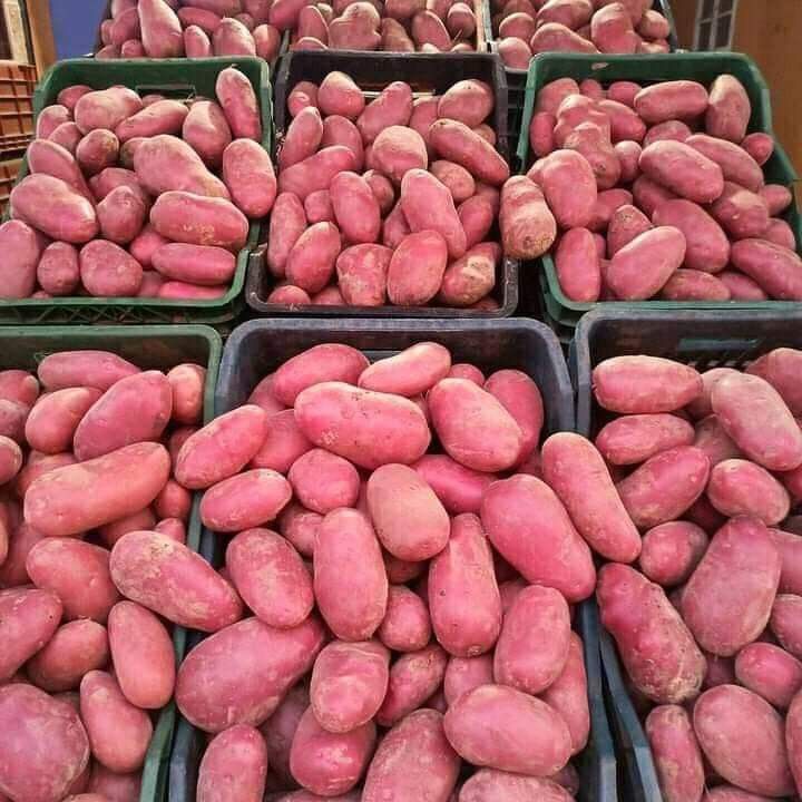 Harvest Direct Organic Farm Fresh Fresh Irish Potatoes - Medium (500g)