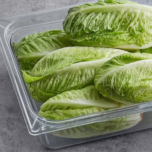 Premium Produce Organic Premium Farm Fresh Iceberg Lettuce - Medium (500g)