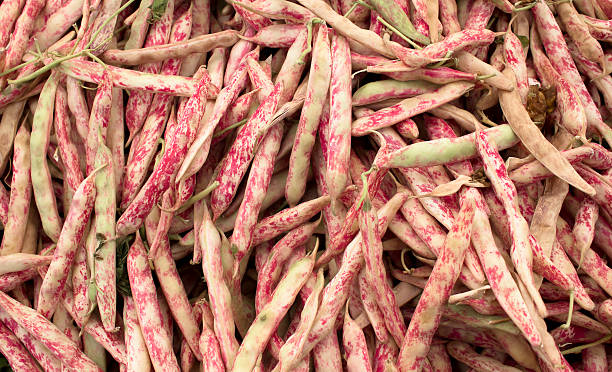 Bean Valley Organic Shelled Red Beans - Large (2kg) - Pack