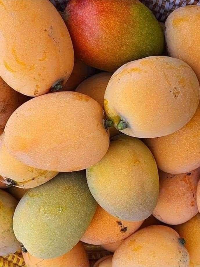 Harvest Direct Organic Farm Fresh Fresh Mangoes - Small (250g)