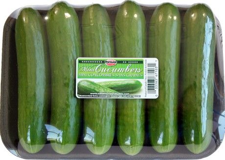 Farm Fresh Organic Farm Fresh Fresh Cucumber - Large (1kg)