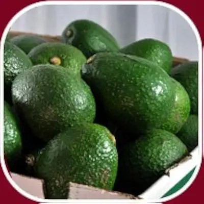Nature Fresh Grade A Premium Premium Fresh Avocado - Small (500g) - Bulk