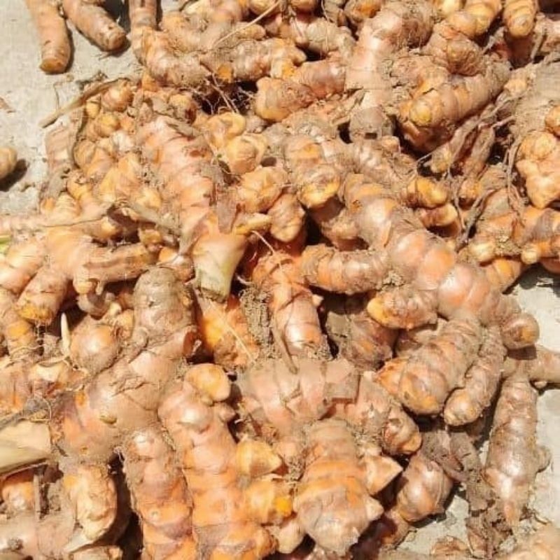 Organic Valley Organic Premium Fresh Fresh Turmeric - Medium (500g)