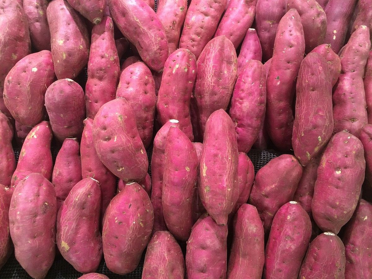 Farm Fresh Grade A Premium Farm Fresh Fresh Sweet Potatoes - Small (250g)