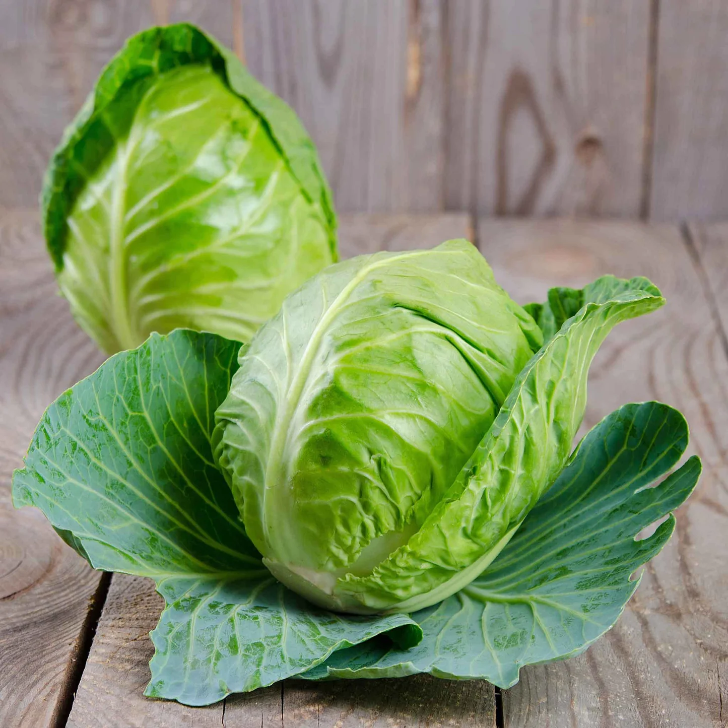 FarmMaster Grade B Organic Green Cabbage - Small (250g)
