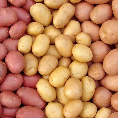 Harvest Direct Grade A Fresh Fresh Irish Potatoes - Extra Large (2kg)