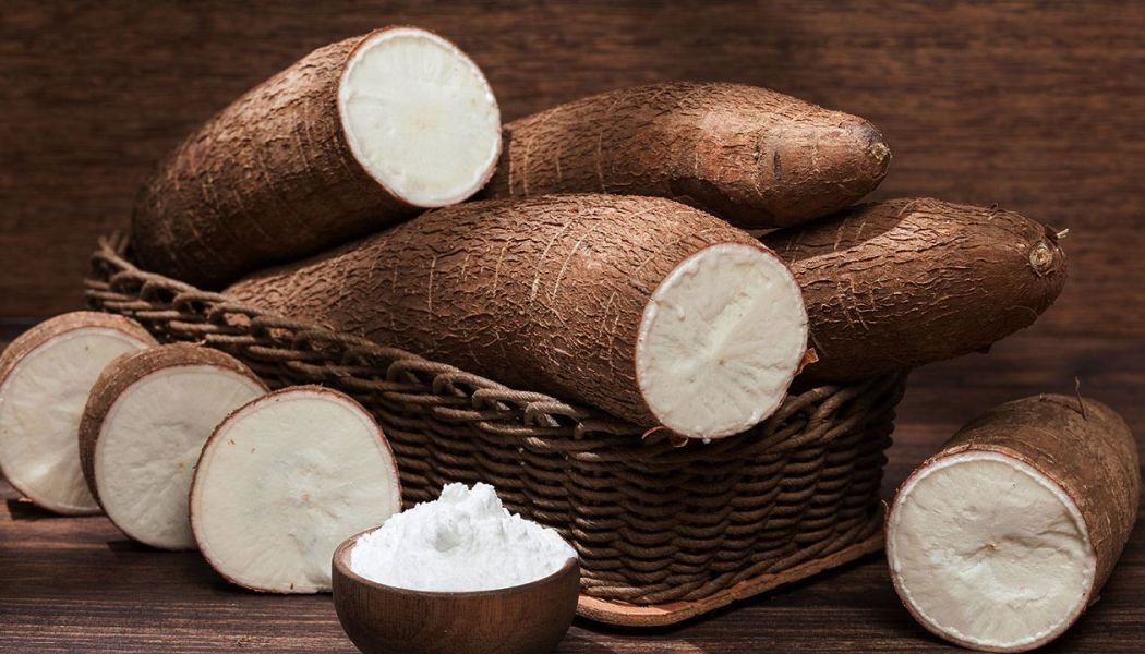 Harvest Direct Grade A Fresh Fresh Cassava - Small (250g)